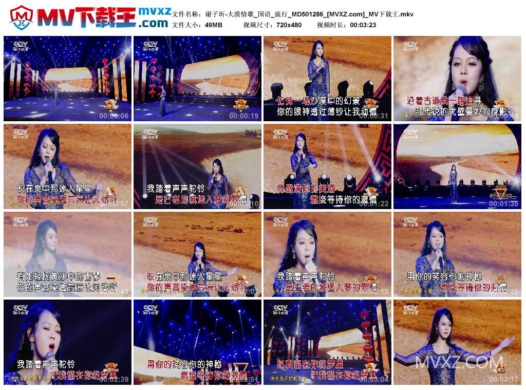 谢子圻-大漠情歌_国语_流行_MD501286